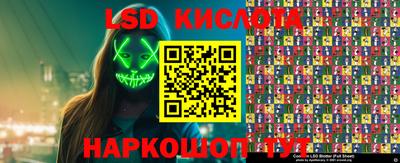 прущие грибы Заводоуковск