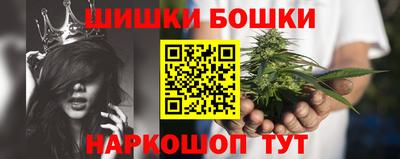 прущие грибы Заводоуковск