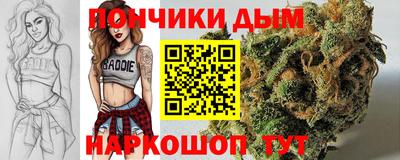 прущие грибы Заводоуковск