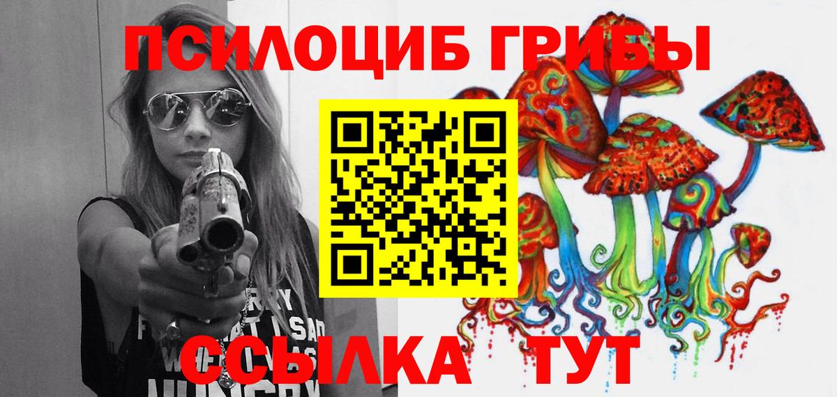 Галлюциногенные грибы Psilocybine cubensis Серов