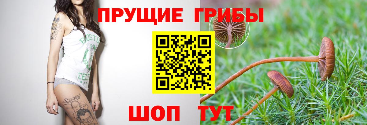 Серов  Галлюциногенные грибы GOLDEN TEACHER  Вход с VPN 