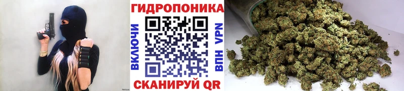 Конопля план Серов