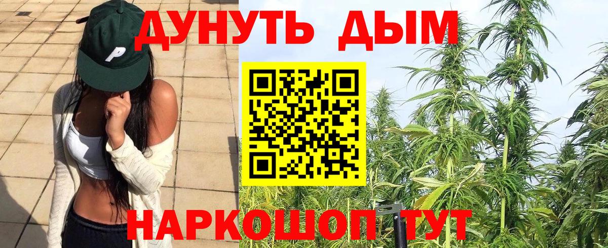 Бошки марихуана MAZAR  Канабис планчик  Шишки марихуана THC 21%  МАРИХУАНА индика  Вход с VPN  Серов 